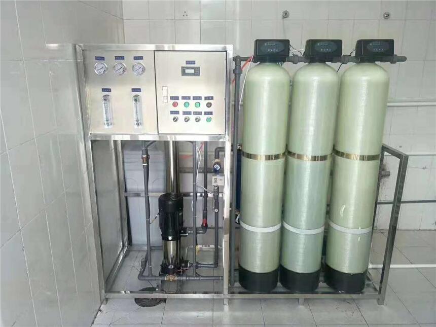 0.5T/H反滲透設備 食品廠純凈水處理 可做直飲