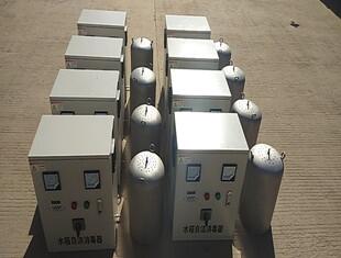 泳池水處理臭氧發生器 殺菌消毒臭氧消毒器